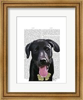 Black Labrador Plain Fine Art Print