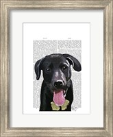 Black Labrador Plain Fine Art Print