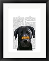 Black Labrador With Bone on Nose Framed Print