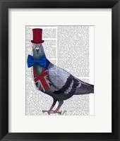 London Pigeon Framed Print