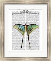 Butterfly 1 Fine Art Print
