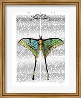 Butterfly 1 Fine Art Print