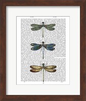 Dragonflies Print 1 Fine Art Print