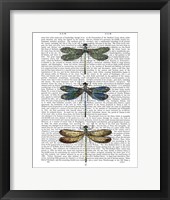 Dragonflies Print 1 Fine Art Print