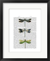 Dragonflies Print 2 Framed Print