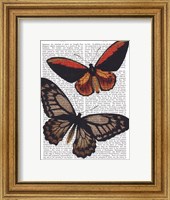 Butterflies 2 Fine Art Print