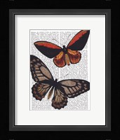 Butterflies 2 Fine Art Print