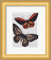 Butterflies 2 Fine Art Print