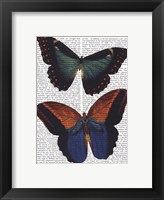Butterflies 4 Framed Print