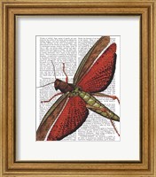 Vintage Grasshopper Fine Art Print