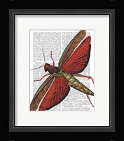 Vintage Grasshopper Fine Art Print