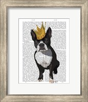 Boston Terrier And Crown Fine Art Print