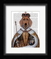 Dachshund Queen Framed Print