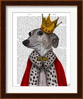 Greyhound Queen Fine Art Print