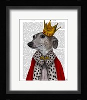 Greyhound Queen Framed Print