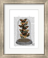 Multicoloured Butterflies in Bell Jar Fine Art Print