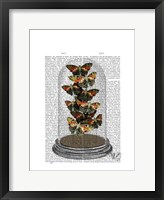 Multicoloured Butterflies in Bell Jar Fine Art Print