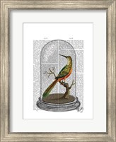Bird In Bell Jar Fine Art Print
