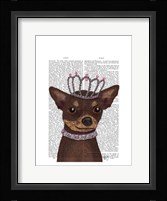 Brown Chihuahua And Tiara Framed Print