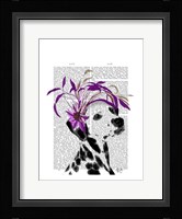 Dalmatian With Purple Fascinator Framed Print
