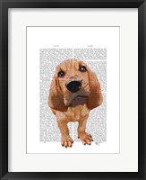 Bloodhound Puppy Fine Art Print