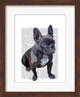 French Bulldog Plain Fine Art Print