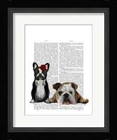 French Bulldog and English Bulldog Framed Print