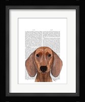 Dachshund Illustration Plain Framed Print