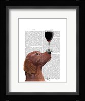 Red Setter Dog Au Vin Framed Print