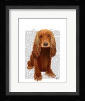 Cocker Spaniel Plain Fine Art Print