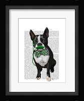 Boston Terrier With Green Moustache And Spotty Green Bow Tie Framed Print