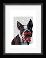 Boston Terrier Portrait with Red Bow Tie and Moustache Framed Print