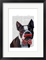 Boston Terrier Portrait with Red Bow Tie and Moustache Framed Print