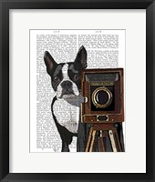 Boston Terrier Photographer Fine Art Print