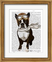 Boston Terrier Flying Ace Fine Art Print
