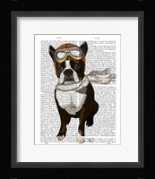 Boston Terrier Flying Ace Framed Print