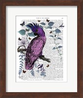 Pink Parrot Fine Art Print