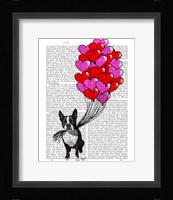 Boston Terrier And Balloons Framed Print
