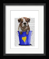 Bulldog Bucket Of Love Blue Framed Print