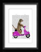 Meerkat on Pink Moped Framed Print