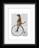 Meerkat on Black Penny Farthing Framed Print