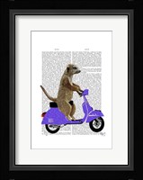 Meerkat on Lilac Moped Framed Print