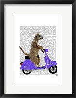 Meerkat on Lilac Moped Framed Print