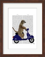 Meerkat on Dark Blue Moped Fine Art Print