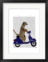 Meerkat on Dark Blue Moped Framed Print