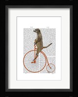 Meerkat on Orange Penny Farthing Framed Print