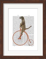 Meerkat on Orange Penny Farthing Fine Art Print