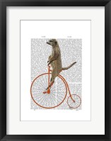 Meerkat on Orange Penny Farthing Framed Print