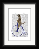 Meerkat On Blue Penny Farthing Framed Print