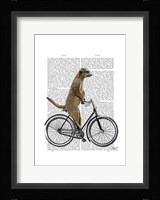 Meerkat on Bicycle Framed Print